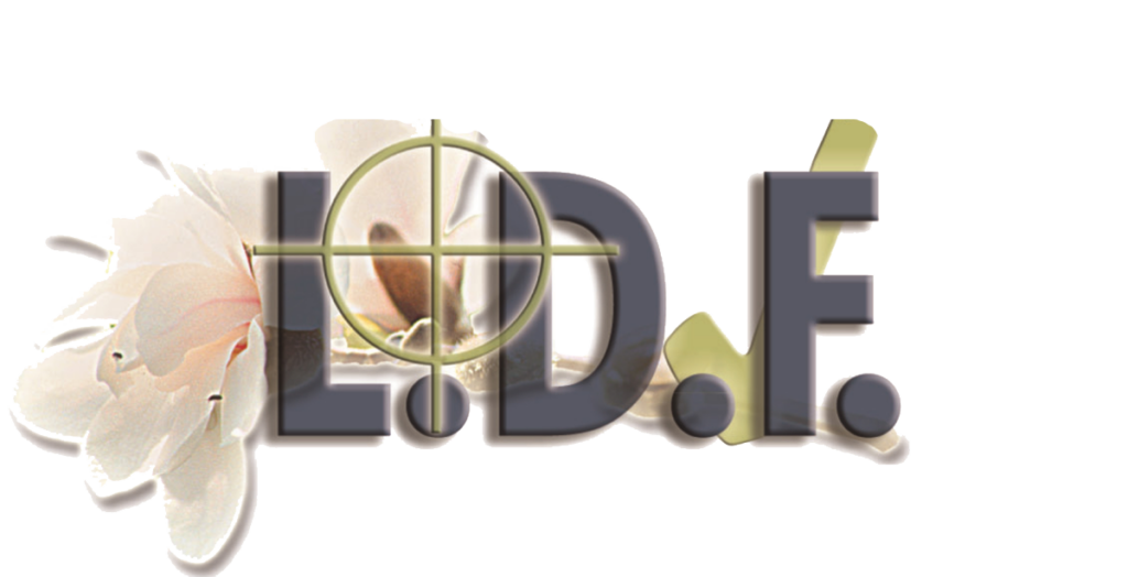 Logo der Druckerei LDF in Fritzlar